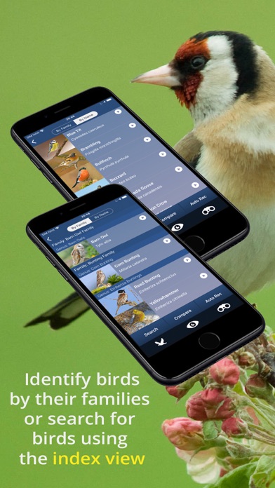Zrzuty ekranu Bird Song Id UK